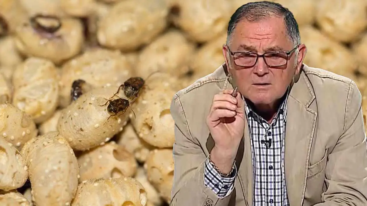 gargarita la fasole