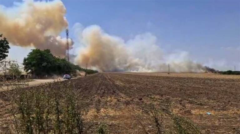 incendii de vegetație