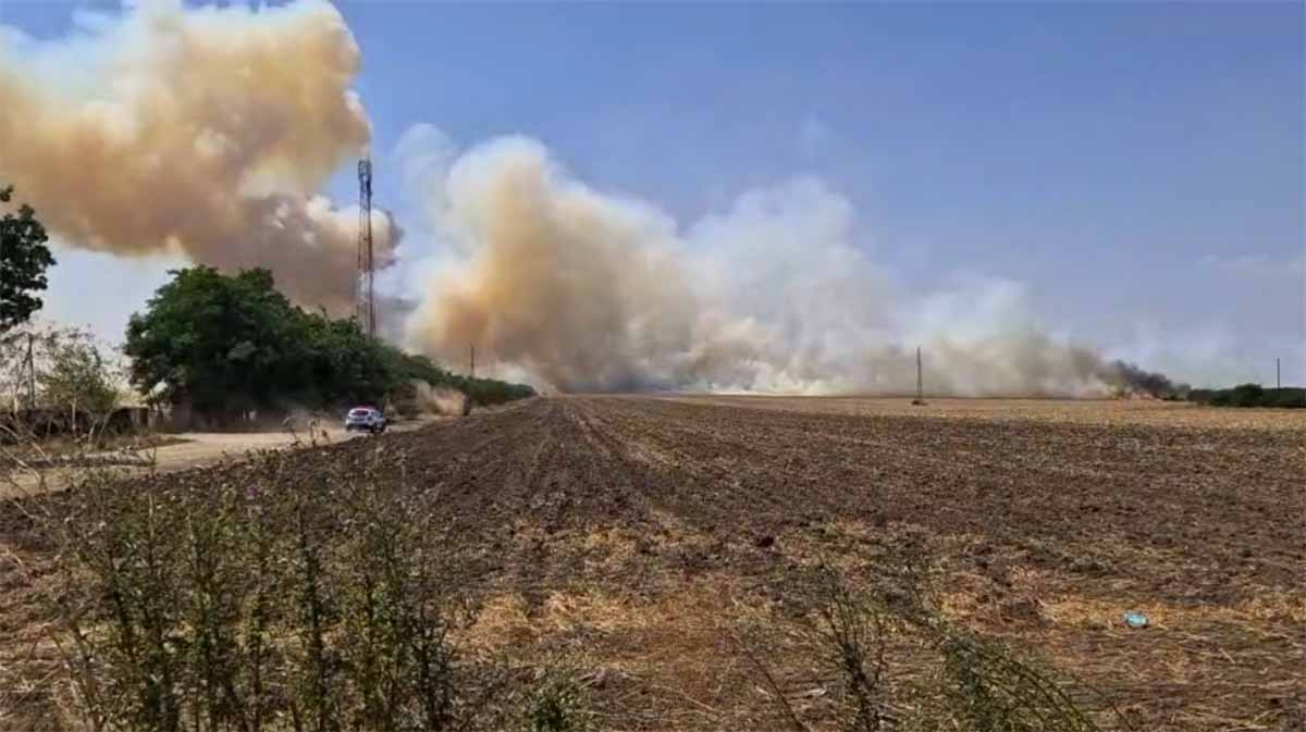 Incendiile de vegetație îi ard pe fermieri și la buzunare! Ce amenzi riscă cei care nu respectă regulile 3 Incendiile de vegetație îi ard pe fermieri și la buzunare! Ce amenzi riscă cei care nu respectă regulile incendii de vegetație