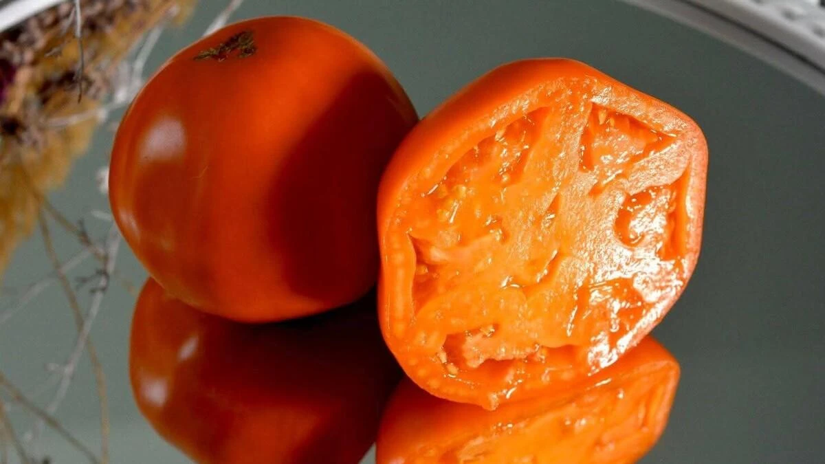 Cercetătorii au decis: Cele mai gustoase tomate nu sunt cele roșii 5 Cercetătorii au decis: Cele mai gustoase tomate nu sunt cele roșii cele mai gustoase tomate portocalii