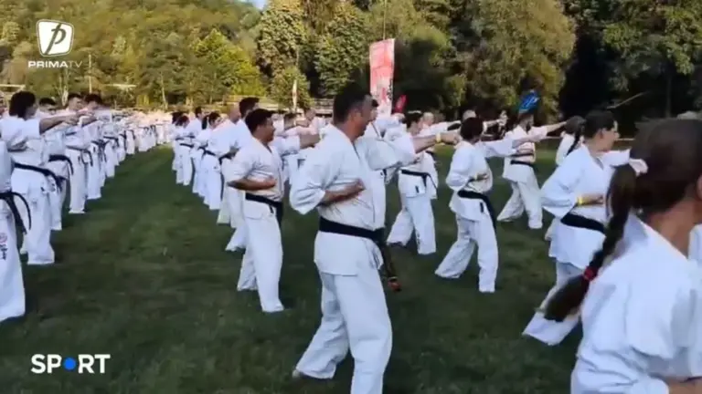 Vata Bai karate