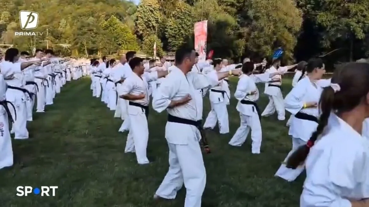 VIDEO Complexul Balneo Termal Vața Băi este din nou gazda unui eveniment de 5 stele! 1 VIDEO Complexul Balneo Termal Vața Băi este din nou gazda unui eveniment de 5 stele! Vata Bai karate