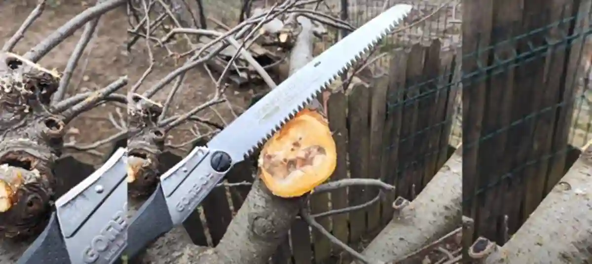 fierăstrăul în livadă