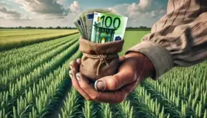 finanțare cu fonduri europene