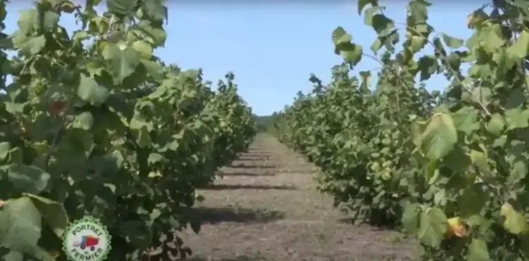 cultură ecologică