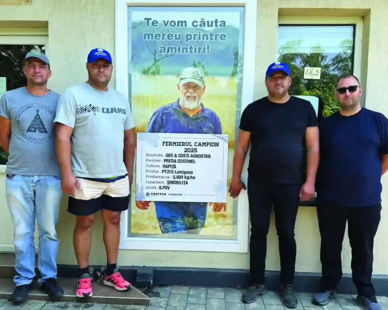 rapiță în România