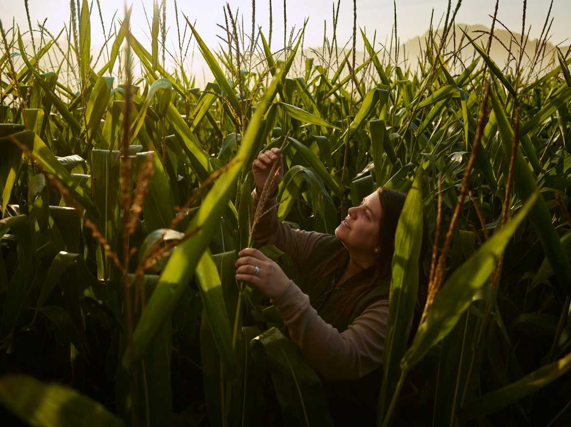Provocările agriculturii