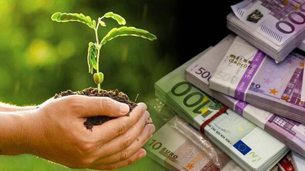 Ferme-model-granturi-MMAP ferme model