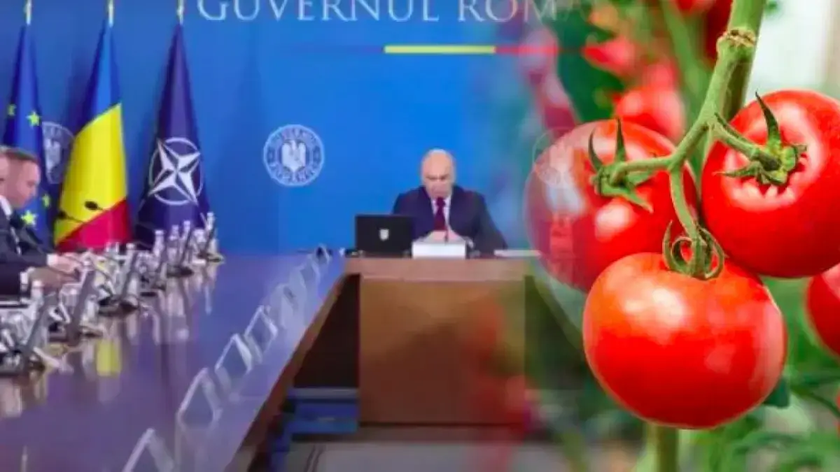 legume cultivate în spații protejate