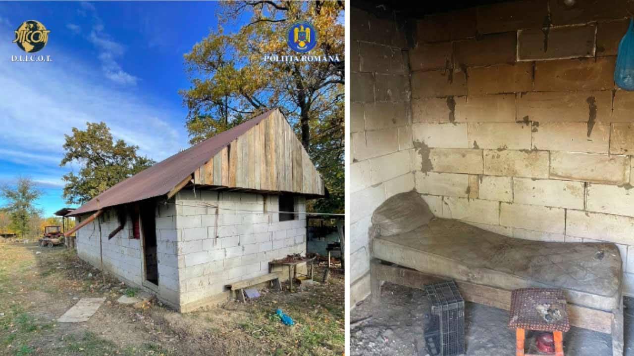Doi frați, implicați într-un nou caz de sclavie la stână! Actualitate sclavie la stână,exploatat