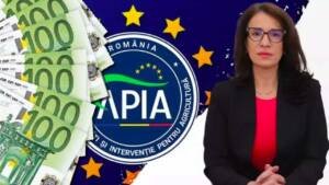 plățile în avans, șefa APIA, plățile APIA