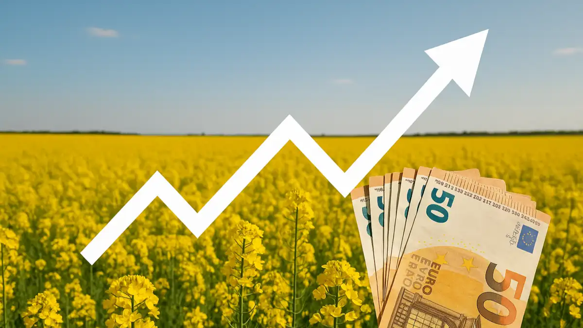 Principala cultură care aduce profit în 2026: "Va avea cerere" 48 Principala cultură care aduce profit în 2026: "Va avea cerere" cea mai profitabilă cultură, cultura care aduce profit, rapita