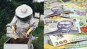 fraudă cu fonduri europene