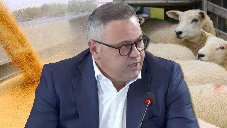 Florin Barbu, exportul de cereale