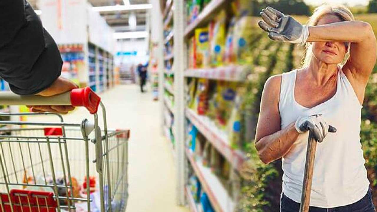 mari retaileri vs. micii fermieri