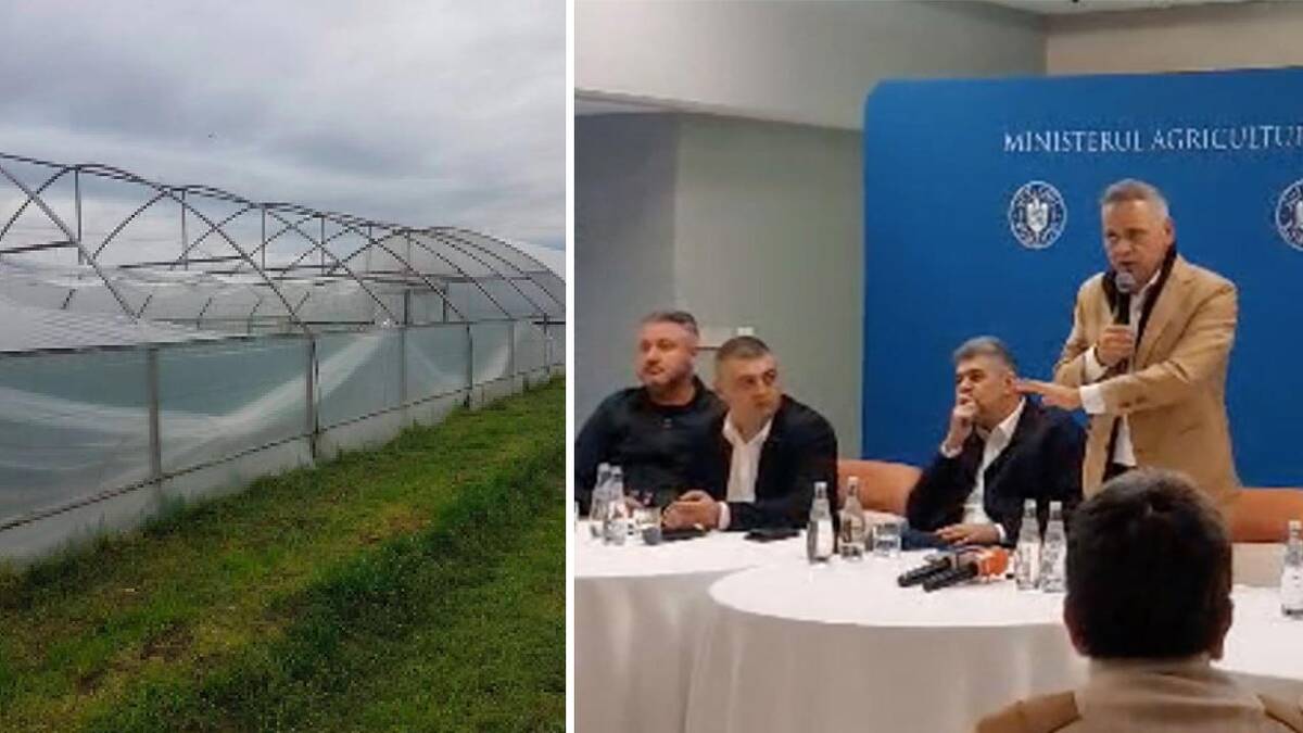 Florin-Barbu-solarii impozitul pe solarii