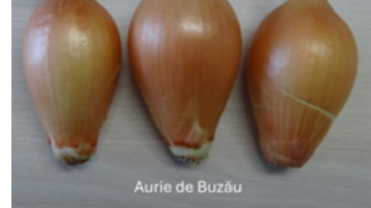 bd06491b-48d1-425f-bad0-7dde596e05eb-ezgif.com-resize bd06491b-48d1-425f-bad0-7dde596e05eb-ezgif.com-resize