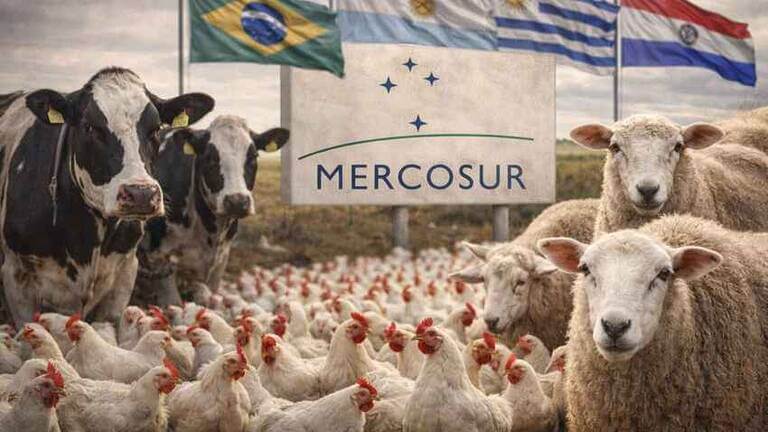 Mercosur