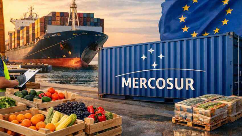 import mercosur Mercosur