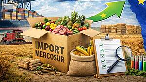 Mercosur import