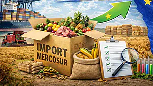 Mercosur import