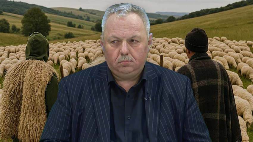 vonica maniu uniunea oierilor uniunea oierilor din românia