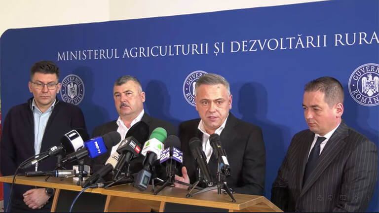 crescătorii de porci