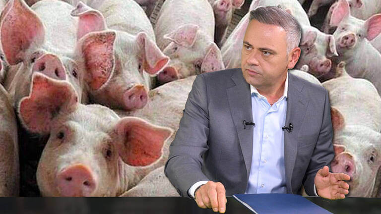 crescătorii de porci