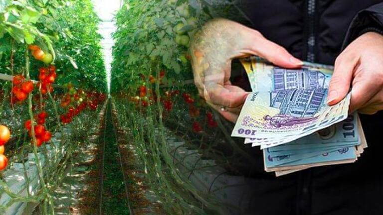 impozitul pe sere și solarii