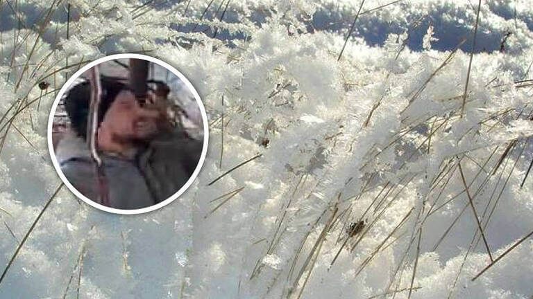 zăpada
