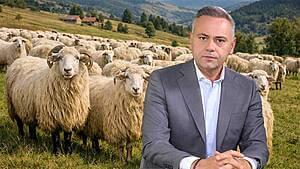 finanțare oieri