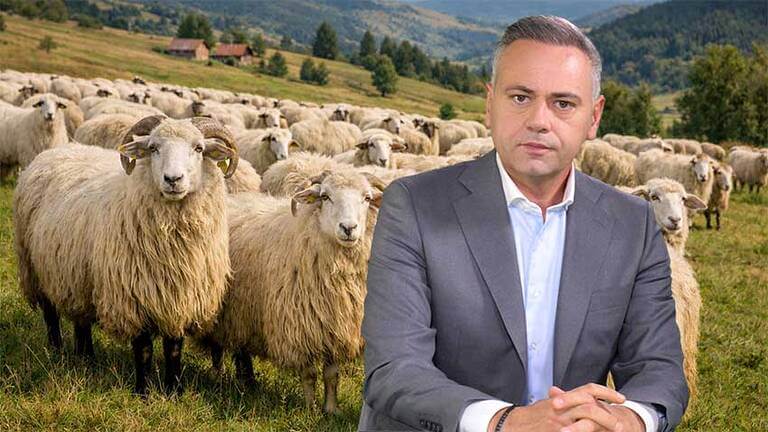 finanțare oieri