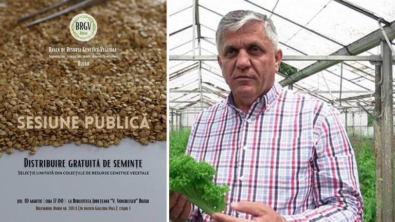 semințe de legume