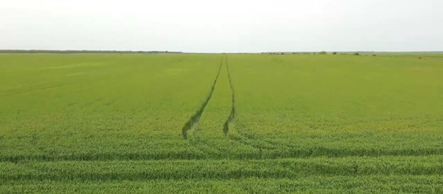Corteva Agriscience