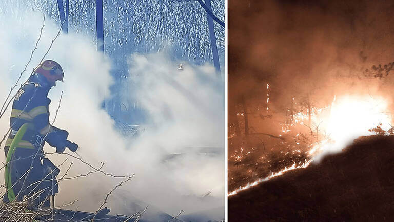 carbonizat pe o pășune