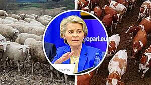 Ursula von der Leyen