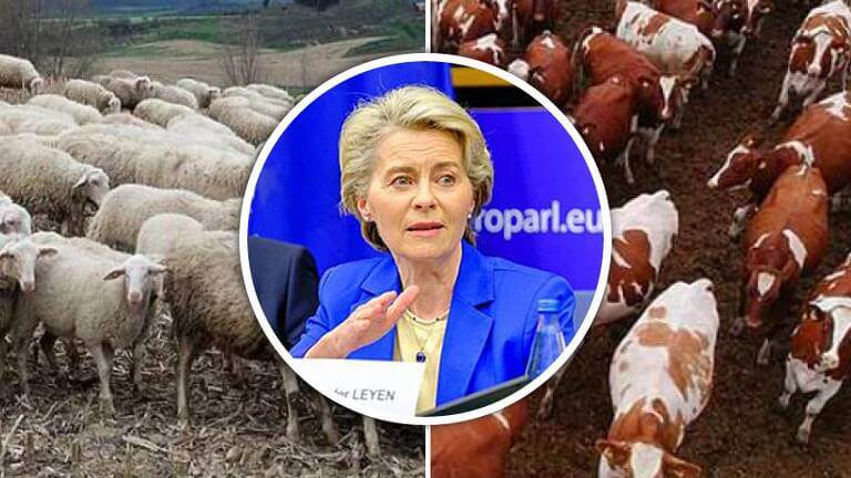 Ursula von der Leyen
