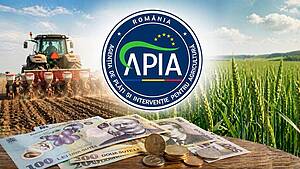 APIA