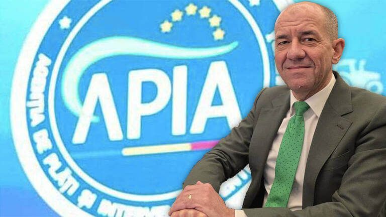 Adrian Pintea, APIA