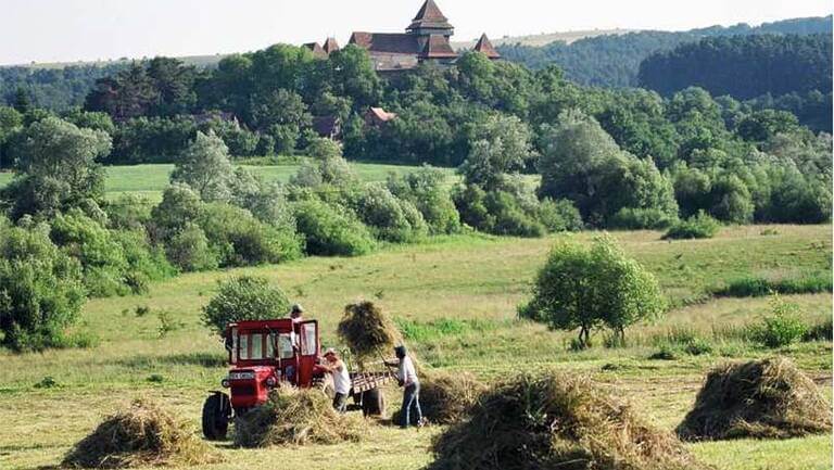 fânețe