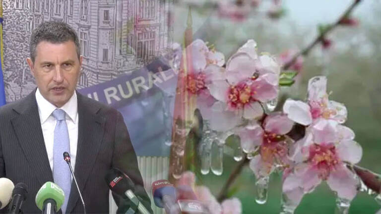 Tánczos Barna