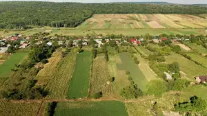 Investiții care schimbă fermele și creează exemple pentru comunitățile locale Advertorial Ferme
