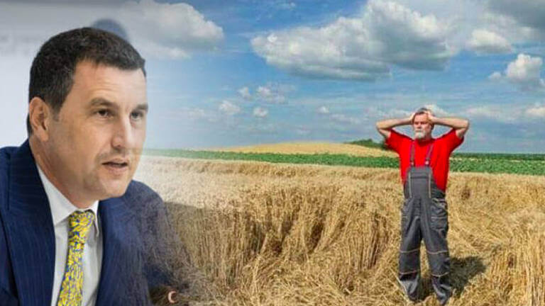 suprafețele afectate de secetă