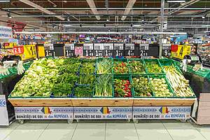 Românii schimbă meniul. Laptele vegetal și tonul urcă în preferințe Advertorial ton