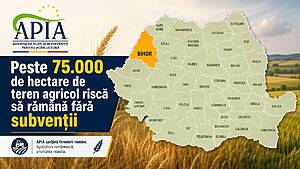 75.000 de hectare din Bihor riscă să rămână fără subvenții APIA: termenul a expirat vineri și nu se prelungește Actualitate 75.000 de hectare,subventie