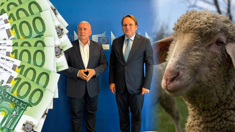 despăgubiri pentru crescătorii de ovine și caprine