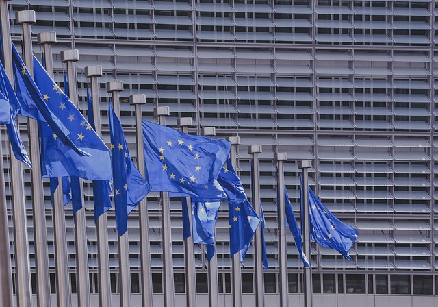 LAPAR va avea un reprezentant în grupul consultativ UE-Mercosur