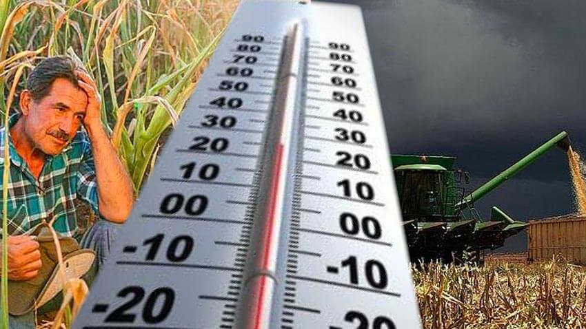 meteo