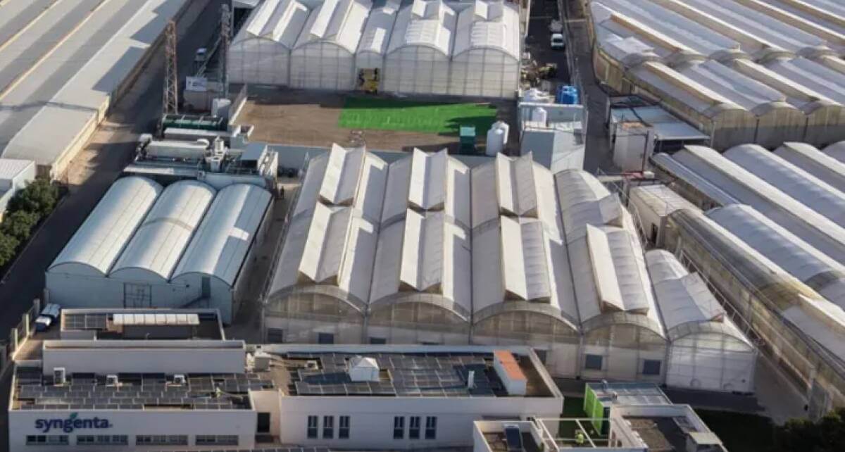 „Din câmp în laborator” – Un nou centru de cercetare dezvoltat de Syngenta