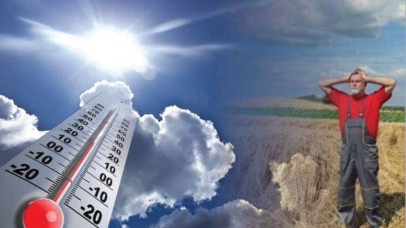 meteo